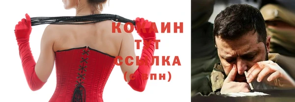 дмт Алексин
