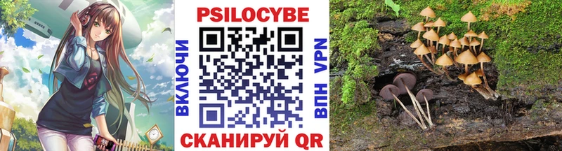 Псилоцибиновые грибы прущие грибы  Бикин 